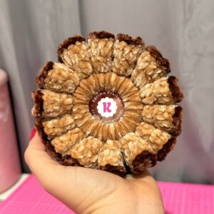 Castanha - A Melhor Xuxinha do Mundo