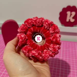 Mini Pitaya - A Melhor Xuxinha do Mundo